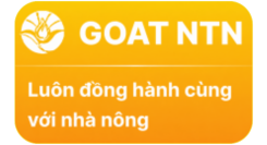 Công Ty TNHH GOAT NTN VIỆT NAM