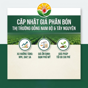 Giá Phân Bón Hôm Nay Tại Đông Nam Bộ &amp; Tây Nguyên Mới Nhất | GOAT NTN
