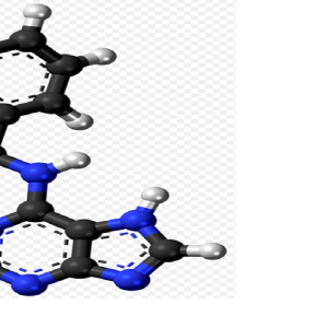 TÌM HIỂU VỀ HOẠT CHÂT CẤM 6-Benzylaminopurine