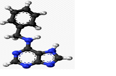 TÌM HIỂU VỀ HOẠT CHÂT CẤM 6-Benzylaminopurine