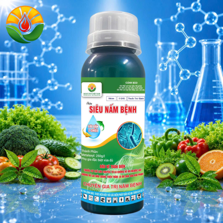SIÊU NẤM BỆNH
