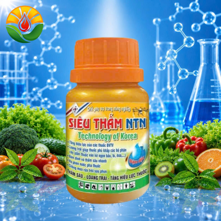 SIÊU THẤM NTN