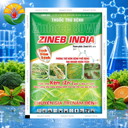 ZINEB INDIA