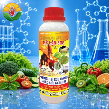 KỲ LÂN 500