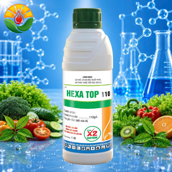HEXA TOP 110