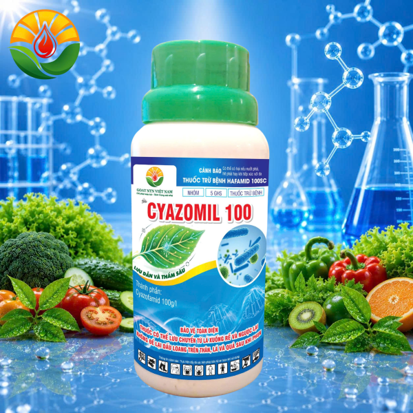 Thuốc Trừ Bệnh CYAZOMIL 100 (Hafamid 100SC) – Đặc Trị Sương Mai, Lưu Dẫn Và Thấm Sâu Cực Mạnh