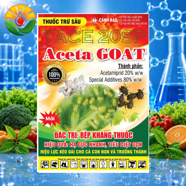 ACETA GOAT